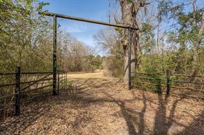 1070 Piney Grove - Photo 28