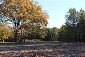 1070 Piney Grove - Photo 39