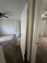 1009 Camp Street - Photo 6