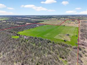 9595 County Road 262 - Photo 10