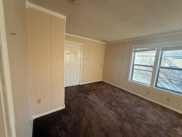 808 Flamingo Road - Photo 15