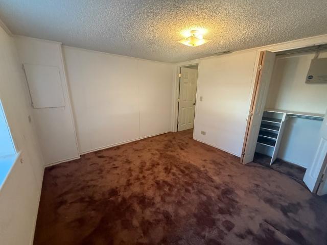 808 Flamingo Road - Photo 21