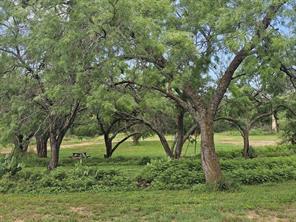 441 County Road 433 - Photo 5