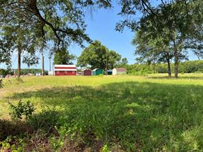 16326 State Highway 155 S - Photo 10