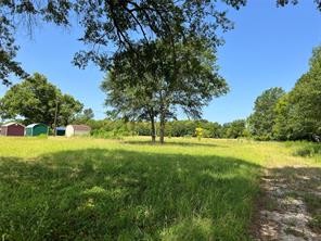 16326 State Highway 155 S - Photo 11