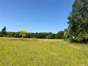 16326 State Highway 155 S - Photo 12