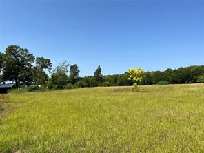 16326 State Highway 155 S - Photo 13