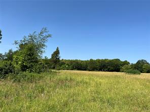 16326 State Highway 155 S - Photo 15