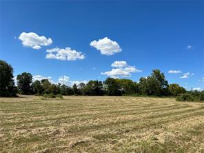 16326 State Highway 155 S - Photo 18