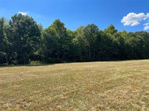 16326 State Highway 155 S - Photo 19