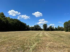 16326 State Highway 155 S - Photo 20