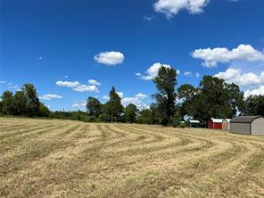 16326 State Highway 155 S - Photo 23