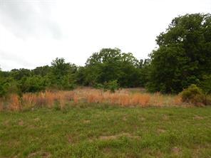 TBD W ST HWY 154 - Photo 6