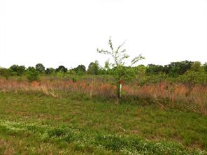 TBD W ST HWY 154 - Photo 8