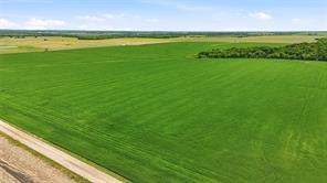 200+ Acres Davis Road - Photo 10