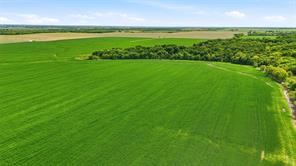 200+ Acres Davis Road - Photo 11