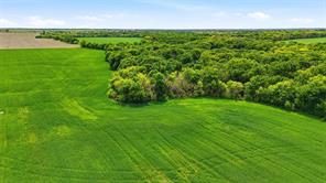 200+ Acres Davis Road - Photo 12