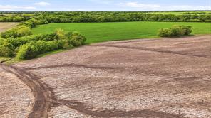 200+ Acres Davis Road - Photo 17