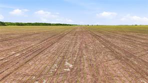 200+ Acres Davis Road - Photo 19