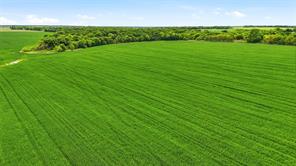 200+ Acres Davis Road - Photo 8