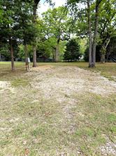 6481 County Road 4522 - Photo 11