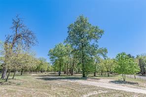 6481 County Road 4522 - Photo 15