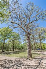 6481 County Road 4522 - Photo 16