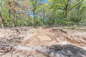6481 County Road 4522 - Photo 19