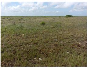 TBD County Road 257 - Photo 5
