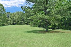 4413 FM 16 W - Photo 22