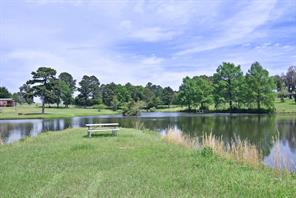4413 FM 16 W - Photo 23