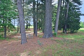 4413 FM 16 W - Photo 24