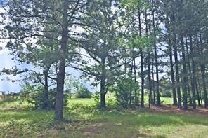 4413 FM 16 W - Photo 25