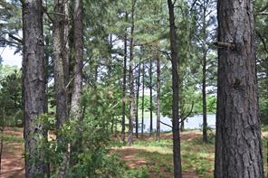 4413 FM 16 W - Photo 26