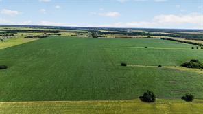 281 Acres Highway 380 - Photo 12
