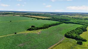 281 Acres Highway 380 - Photo 13