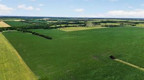 281 Acres Highway 380 - Photo 14
