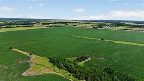 281 Acres Highway 380 - Photo 15