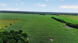 281 Acres Highway 380 - Photo 17