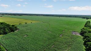 281 Acres Highway 380 - Photo 18