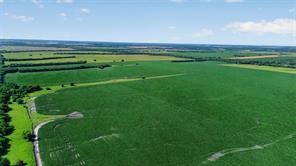 281 Acres Highway 380 - Photo 7