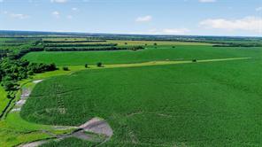 281 Acres Highway 380 - Photo 9