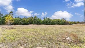 10 Acres HIGHWAY 380 - Photo 7