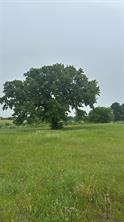 2596A Highway 84 W - Photo 35
