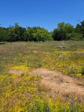 404 HIGHWAY 6 - Photo 3