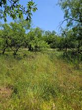 404 HIGHWAY 6 - Photo 5