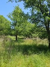 404 HIGHWAY 6 - Photo 6