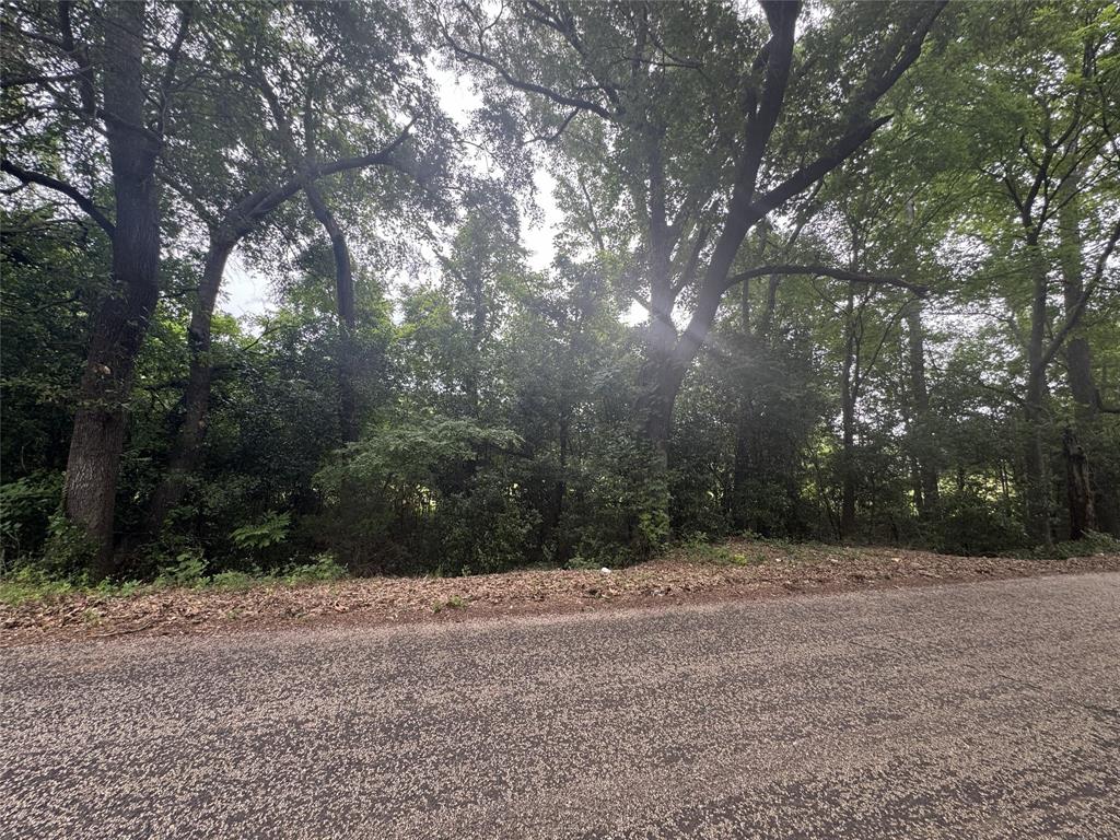 6175 Loop 256 - Photo 26
