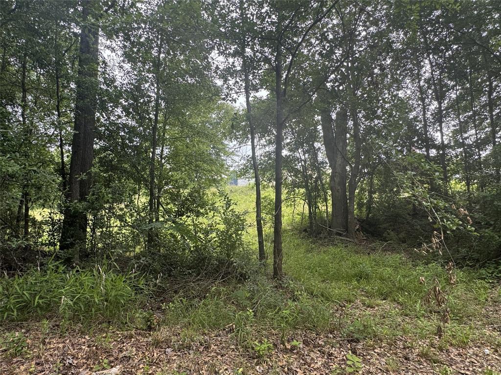 6175 Loop 256 - Photo 28