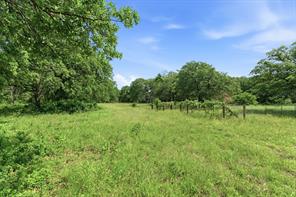 3523 E Highway 199 - Photo 29